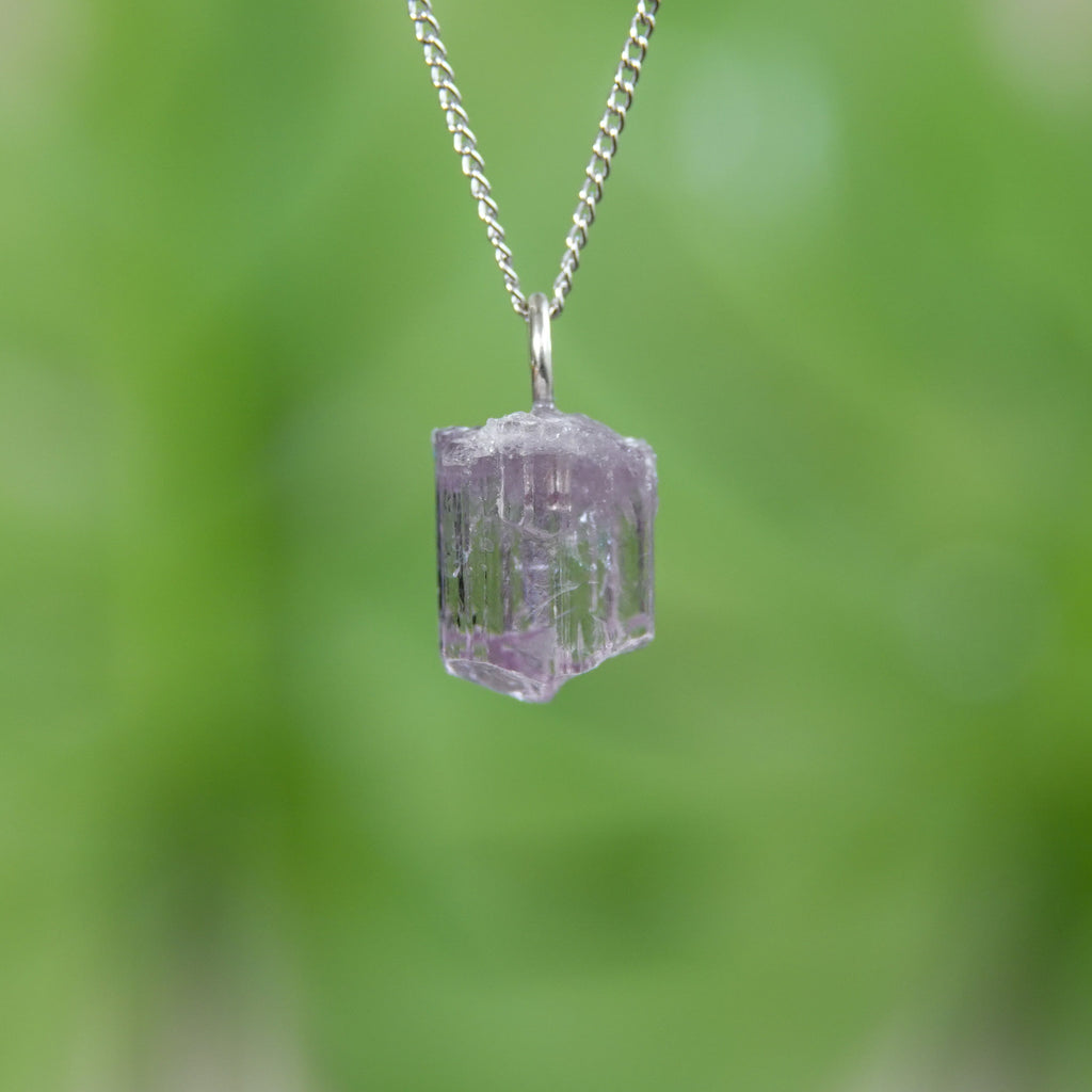 Paarse Scapoliet hanger