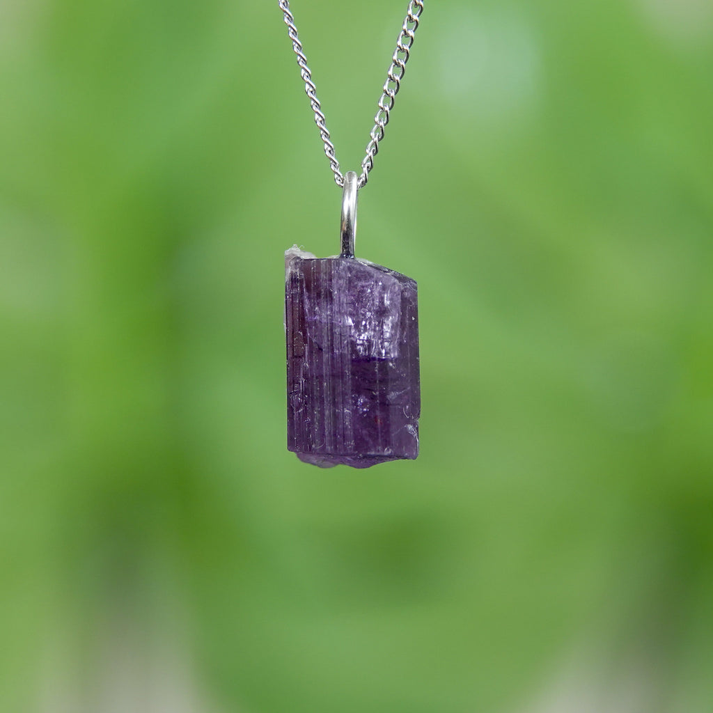 Paarse Scapoliet hanger