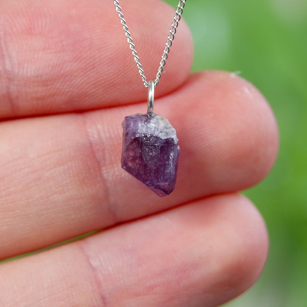 Paarse Scapoliet hanger