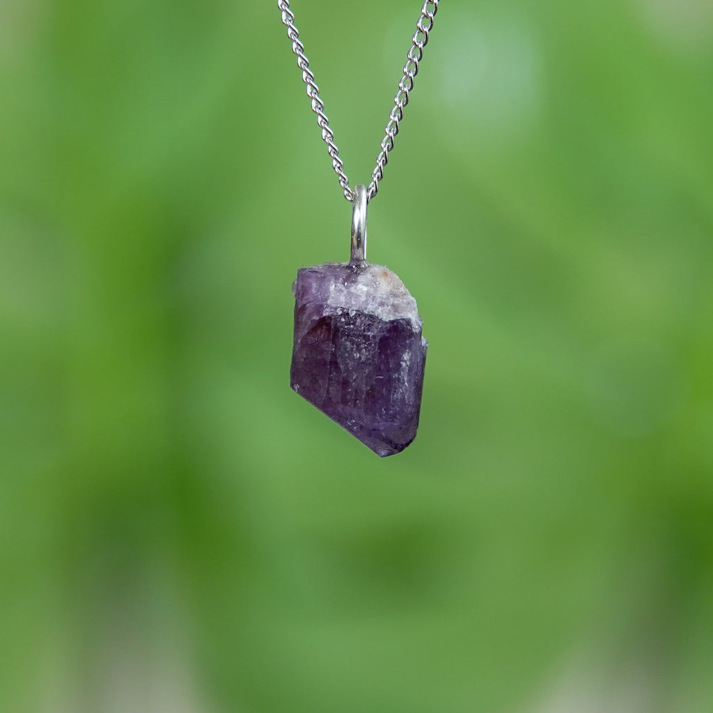 Paarse Scapoliet hanger