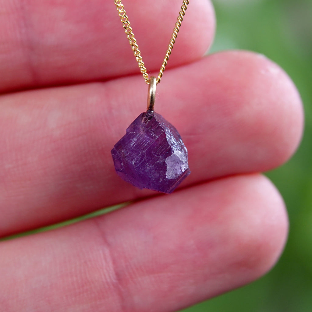 Paarse Scapoliet hanger