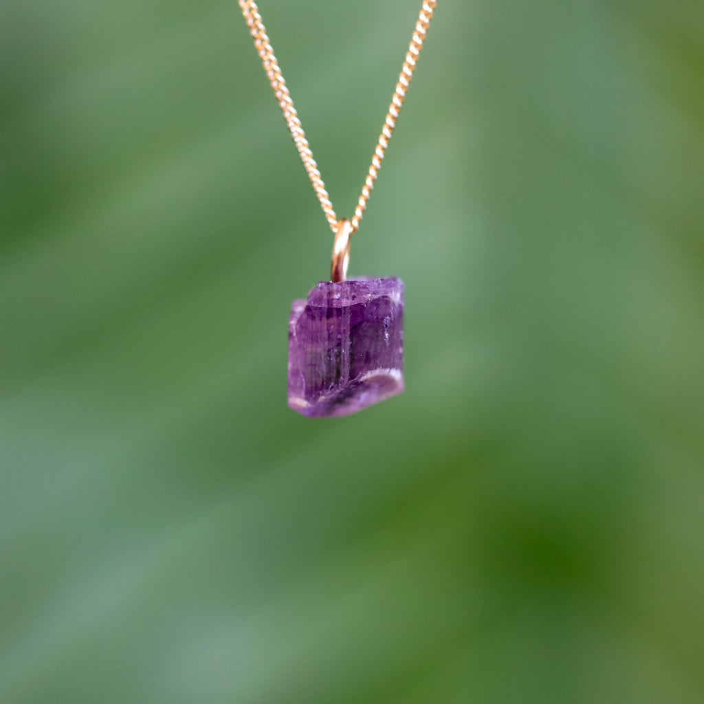 Paarse Scapoliet hanger