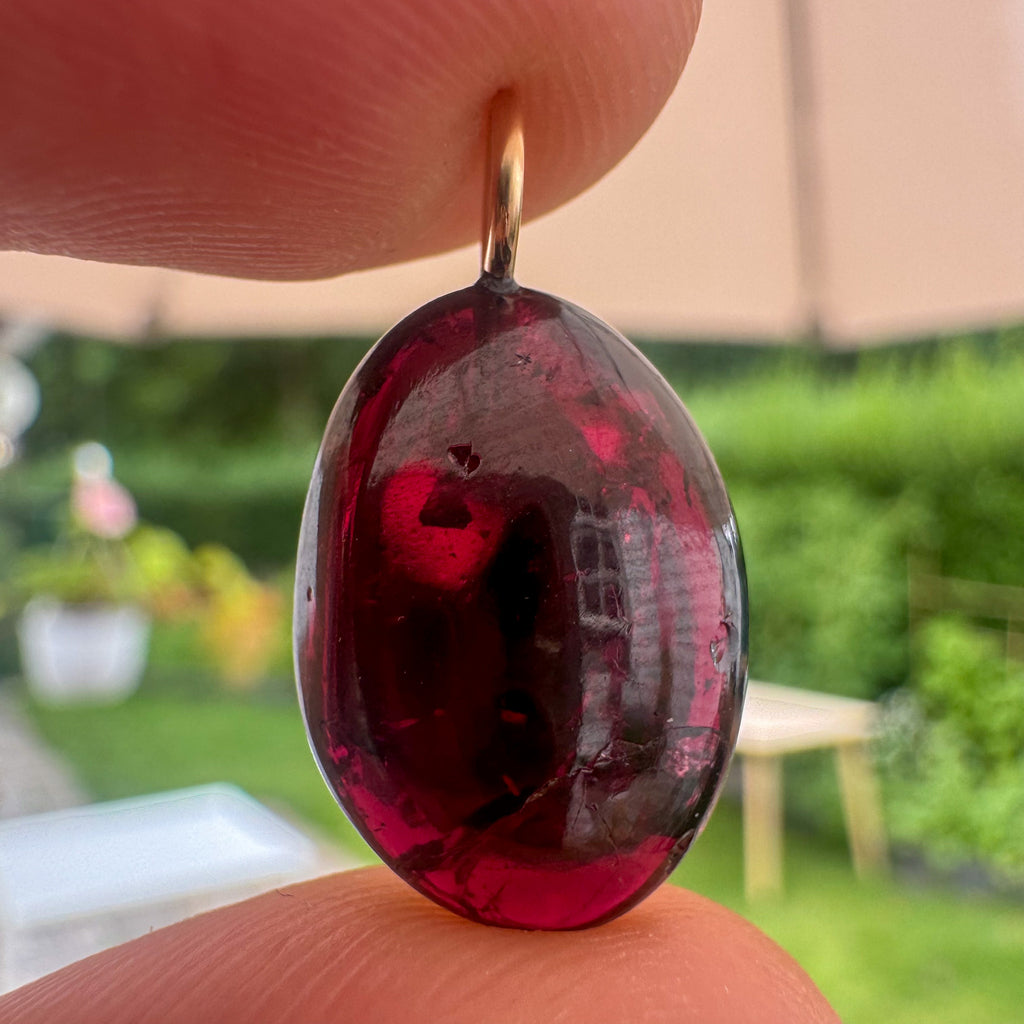 Rode Granaat - India