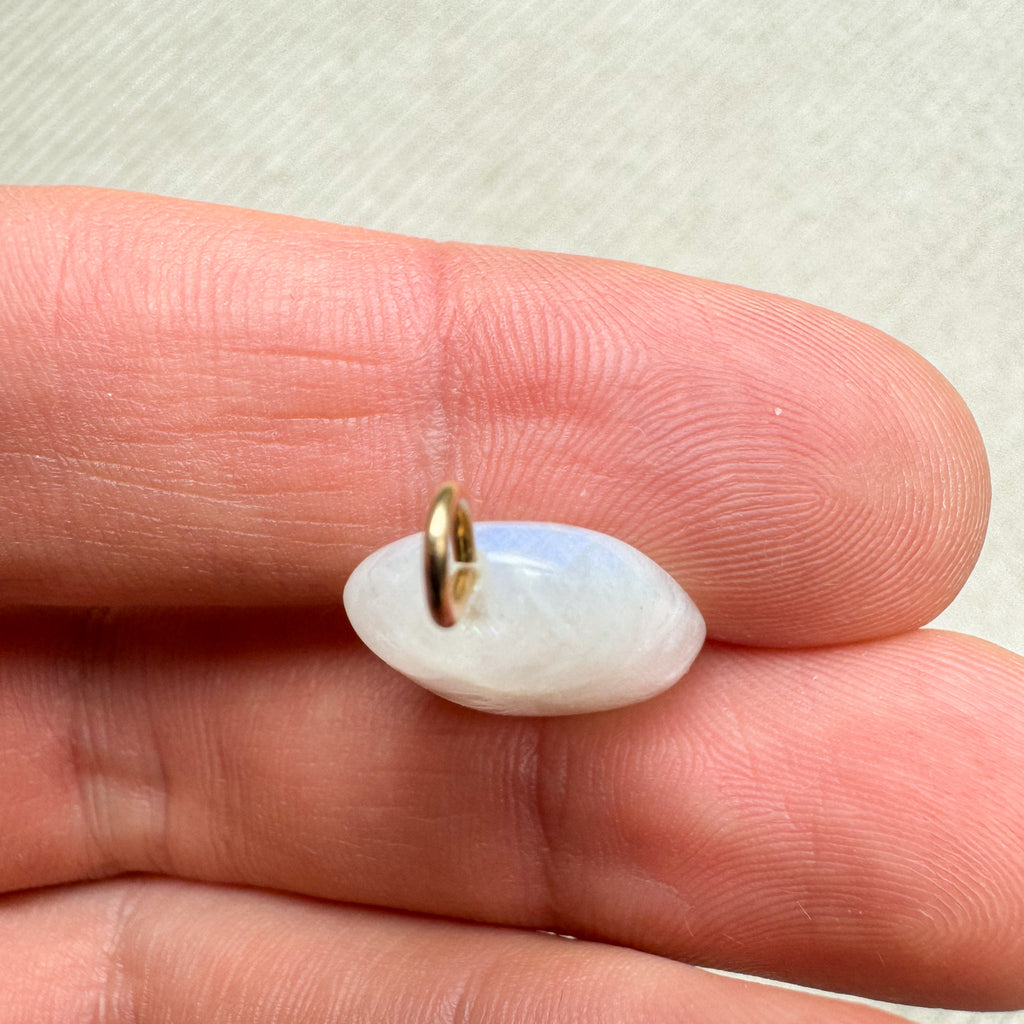 Vergeet-me-nietjes - Gold filled 14kt