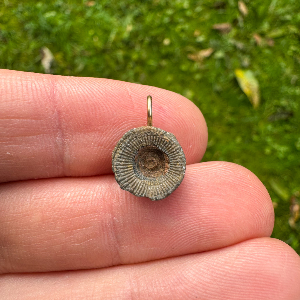 Vergeet-me-nietjes - Gold filled 14kt