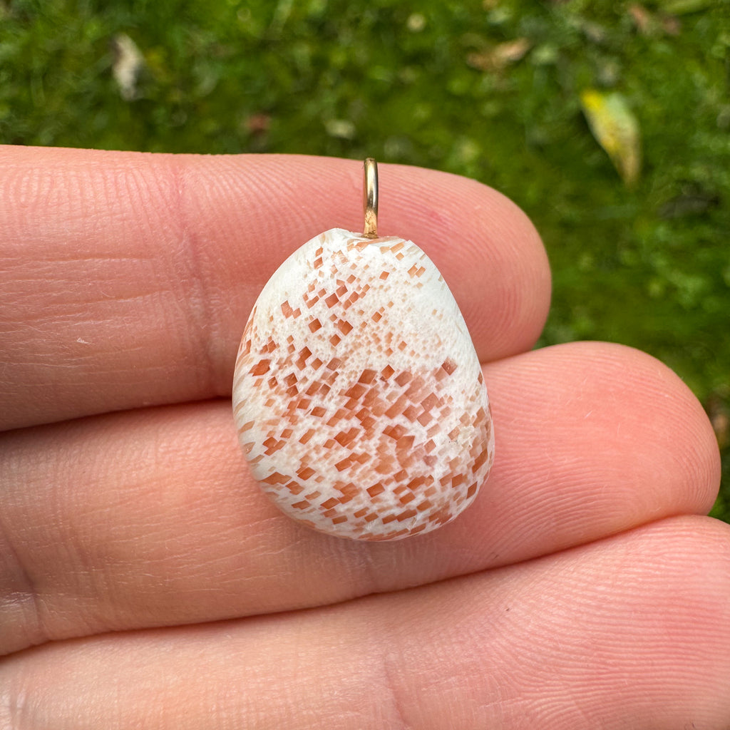 Vergeet-me-nietjes - Gold filled 14kt