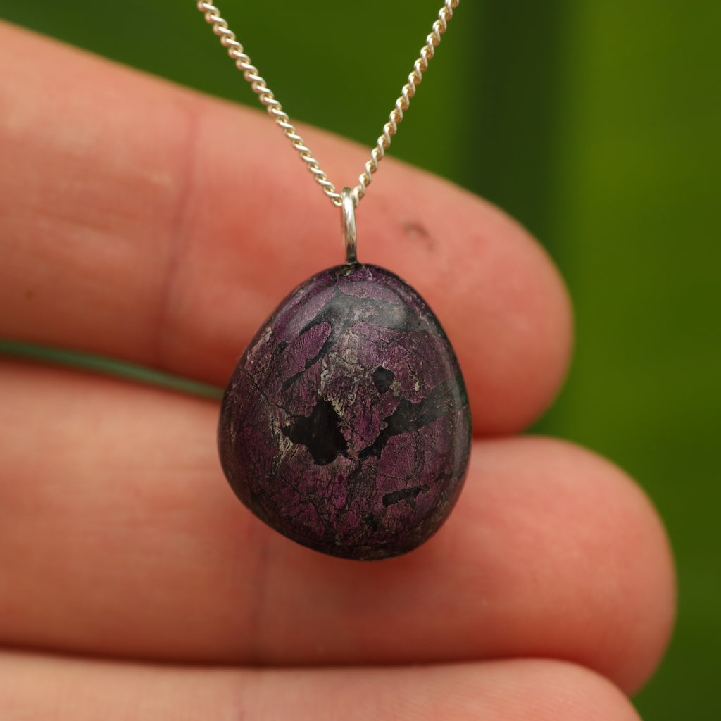 Purpuriet - Brazilië