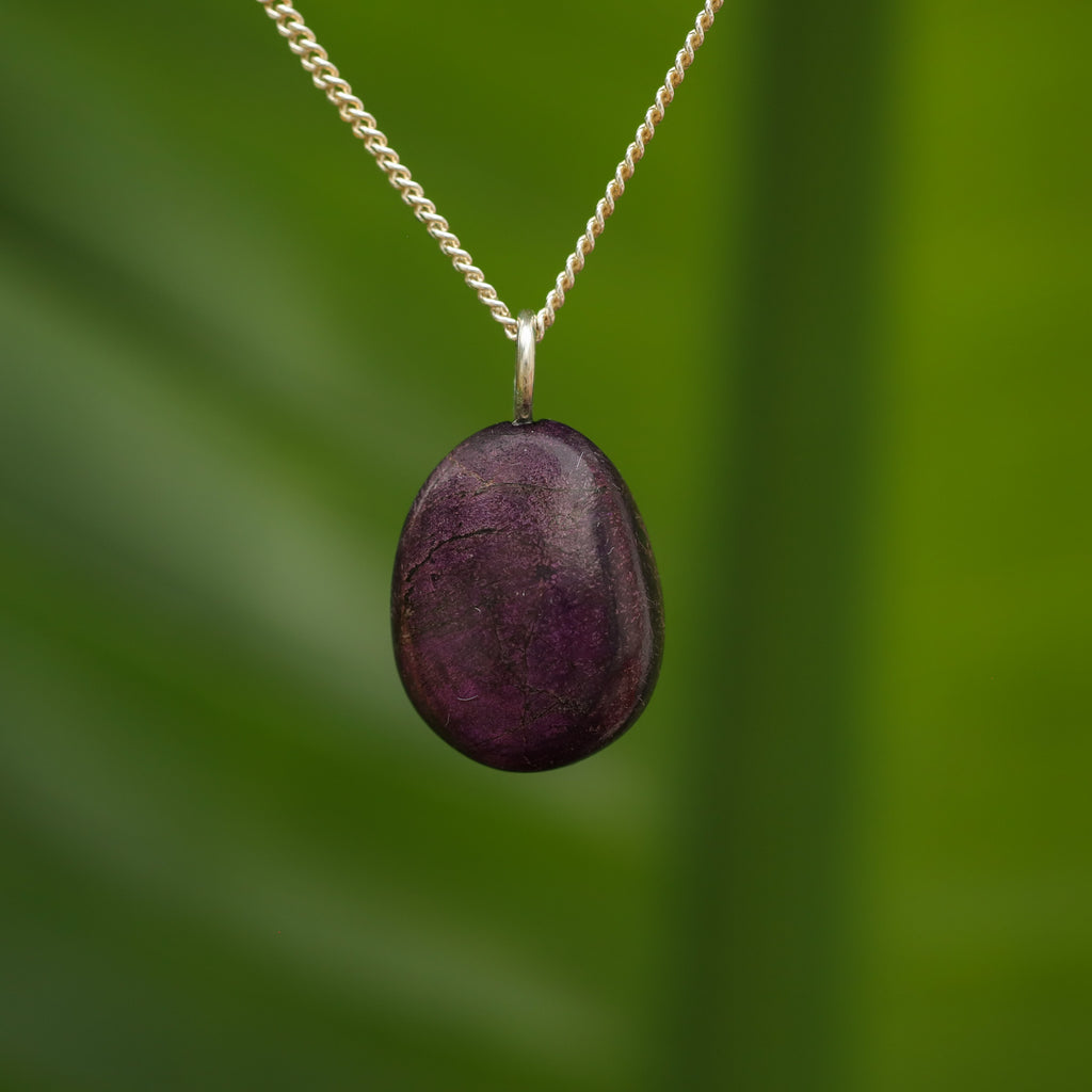 Purpuriet - Brazilië