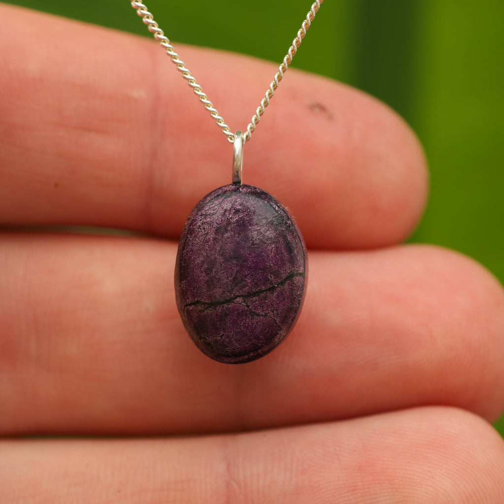 Purpuriet - Brazilië