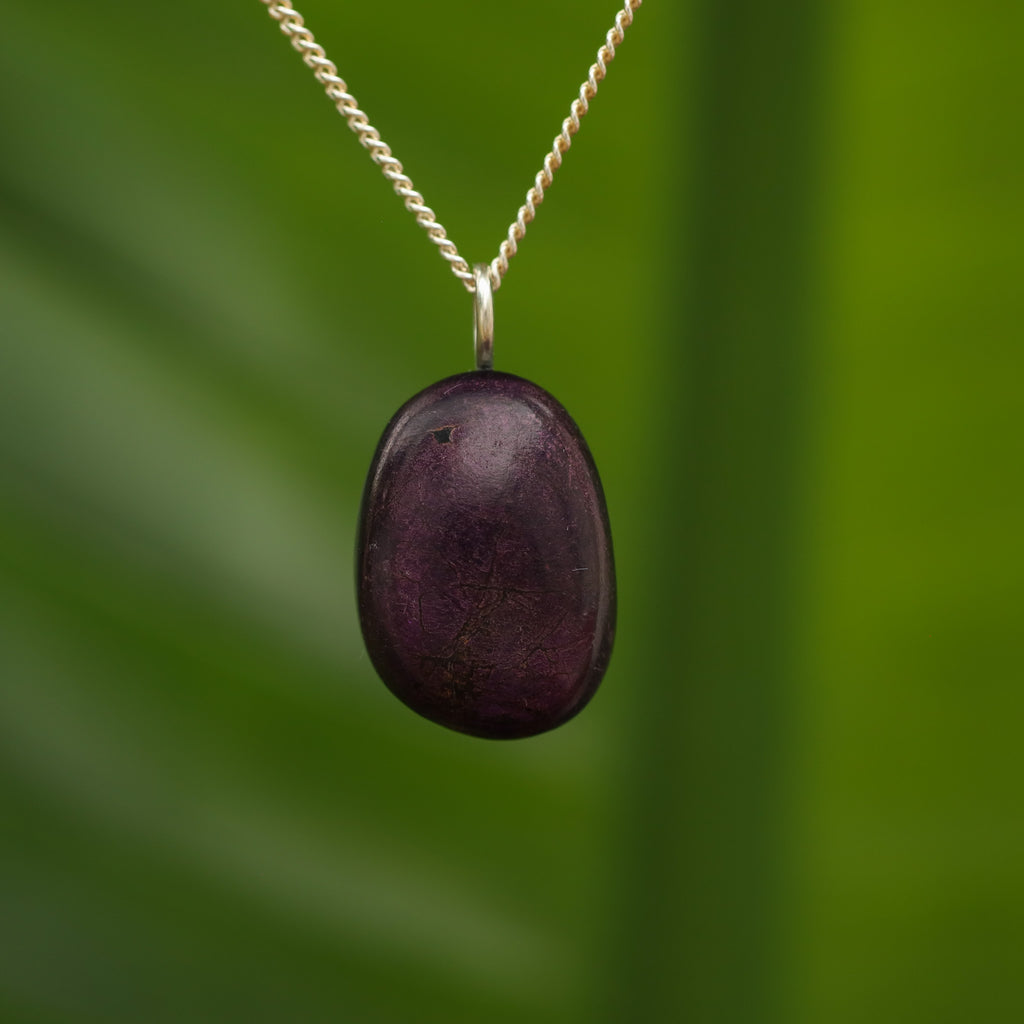 Purpuriet - Brazilië