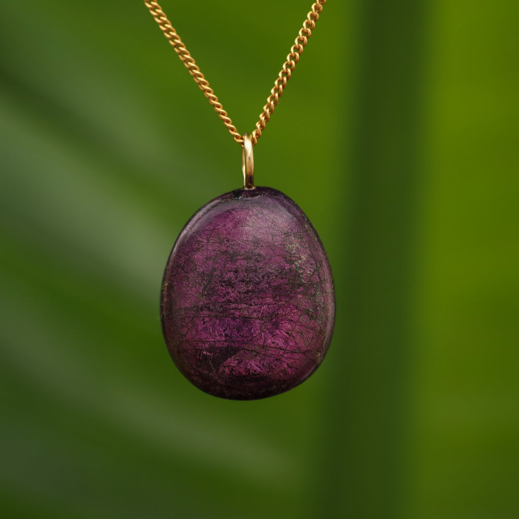 Purpuriet - Brazilië