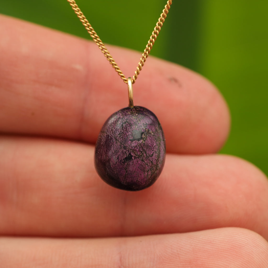 Purpuriet - Brazilië