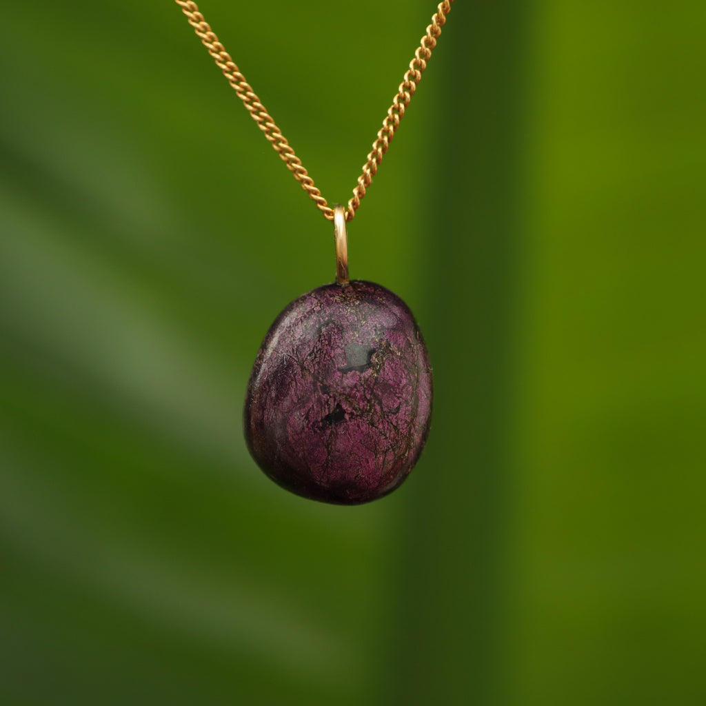 Purpuriet - Brazilië