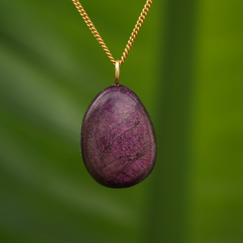 Purpuriet - Brazilië