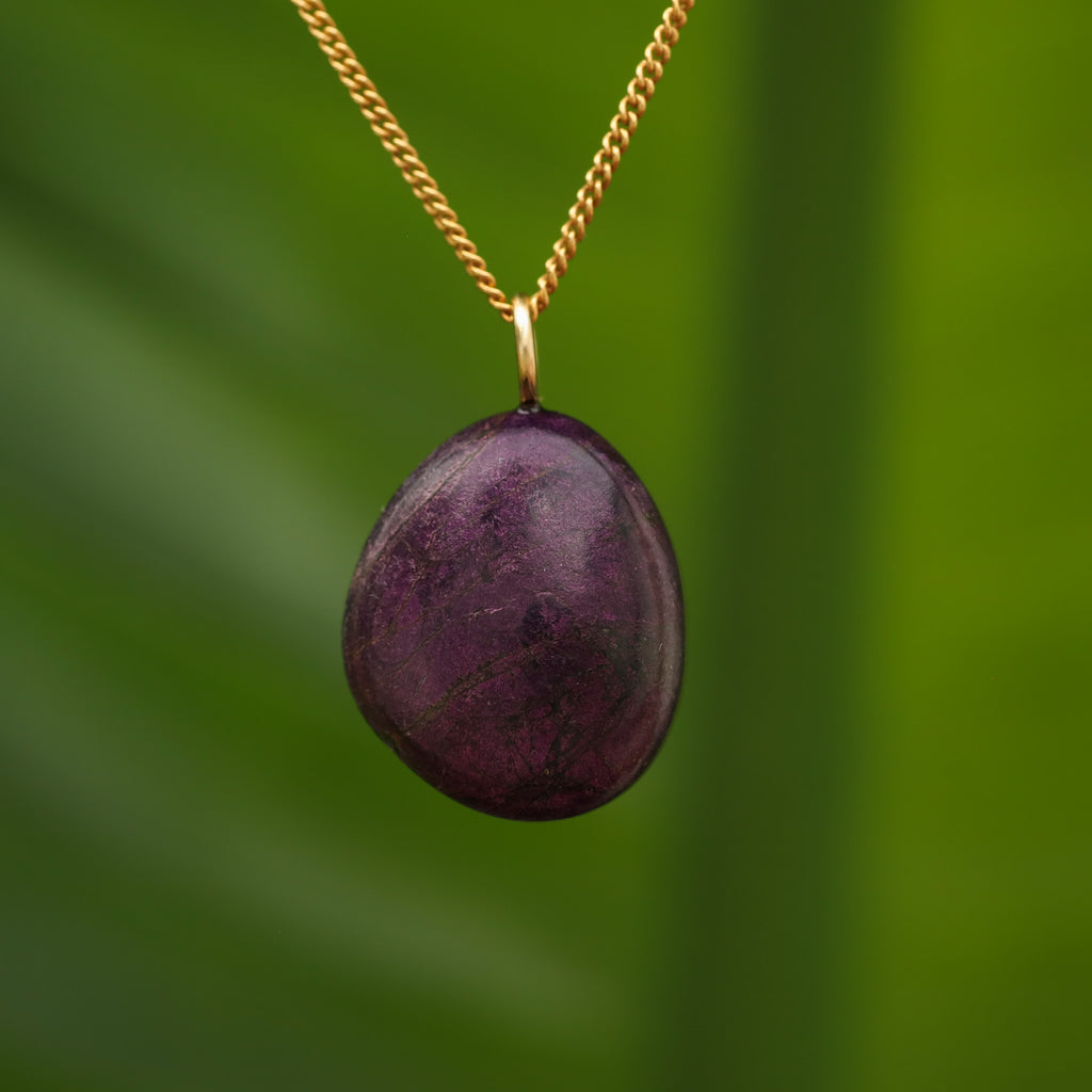 Purpuriet - Brazilië