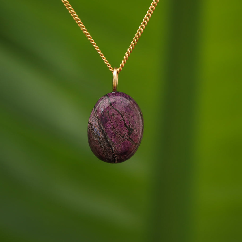 Purpuriet - Brazilië