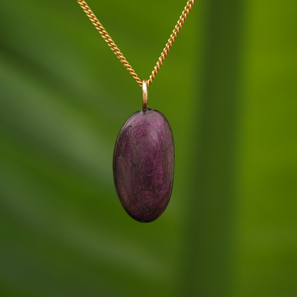 Purpuriet - Brazilië