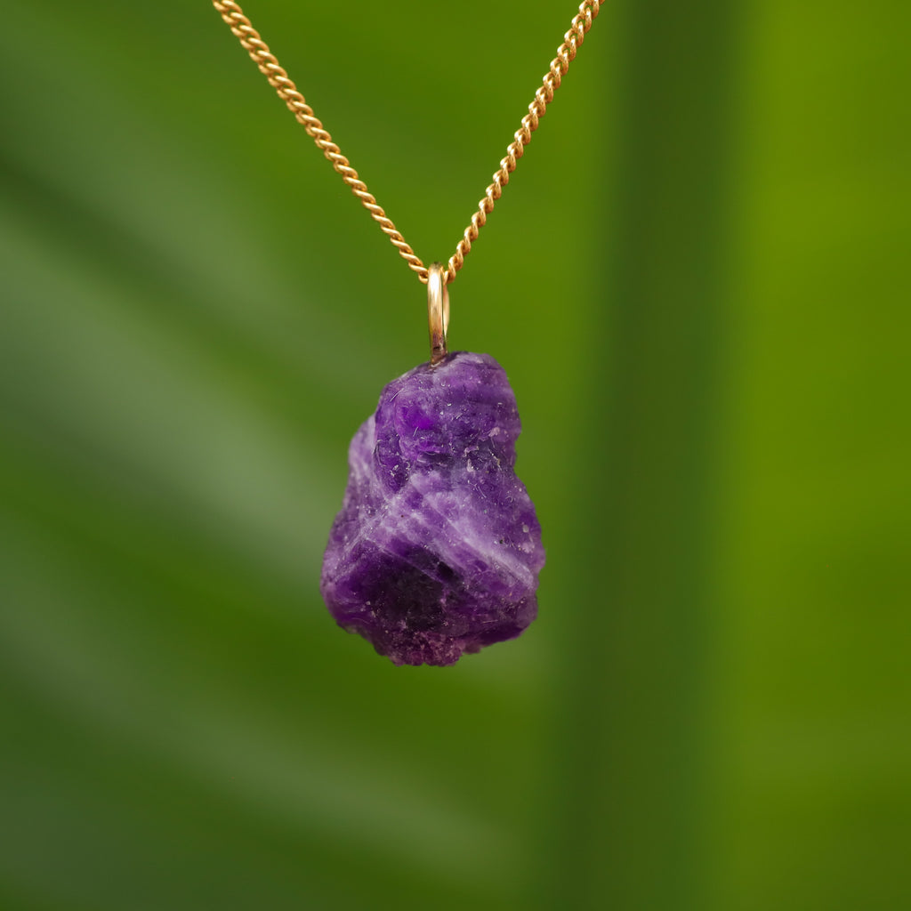 Ruwe Hackmaniet - Afghanistan