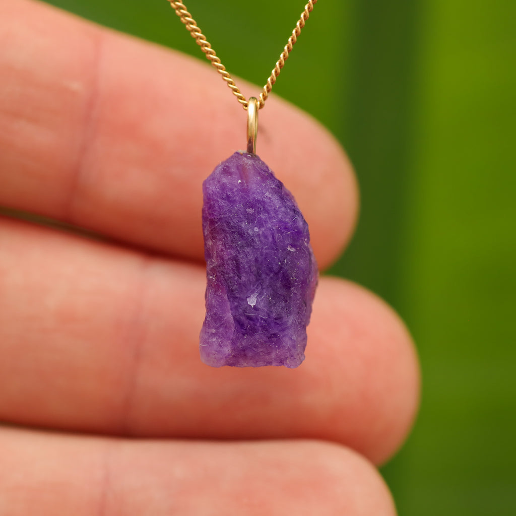 Ruwe Hackmaniet - Afghanistan