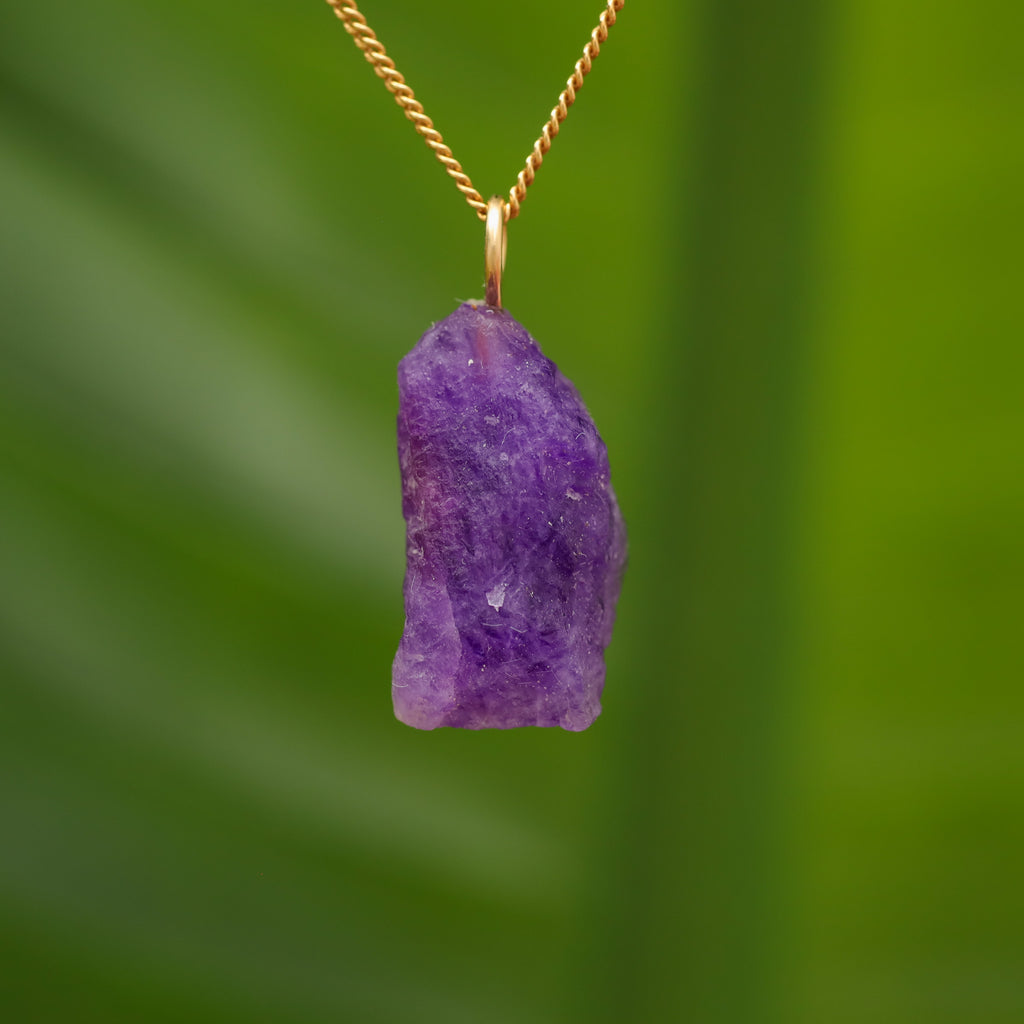 Ruwe Hackmaniet - Afghanistan