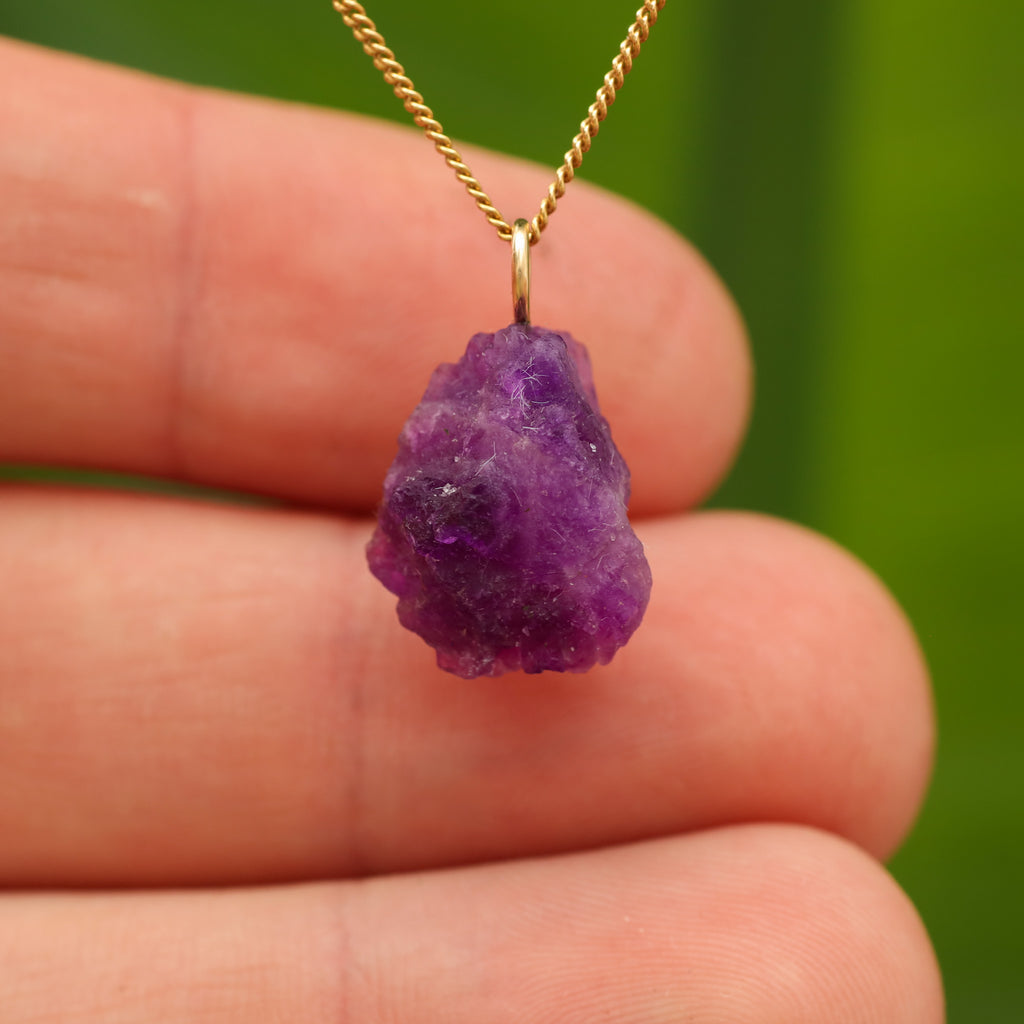 Ruwe Hackmaniet - Afghanistan