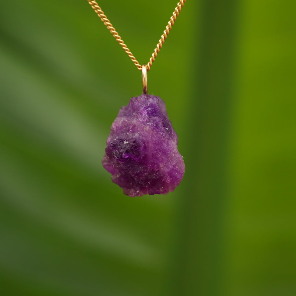 Ruwe Hackmaniet - Afghanistan