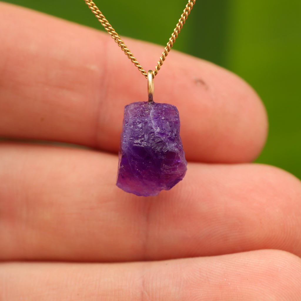 Ruwe Hackmaniet - Afghanistan