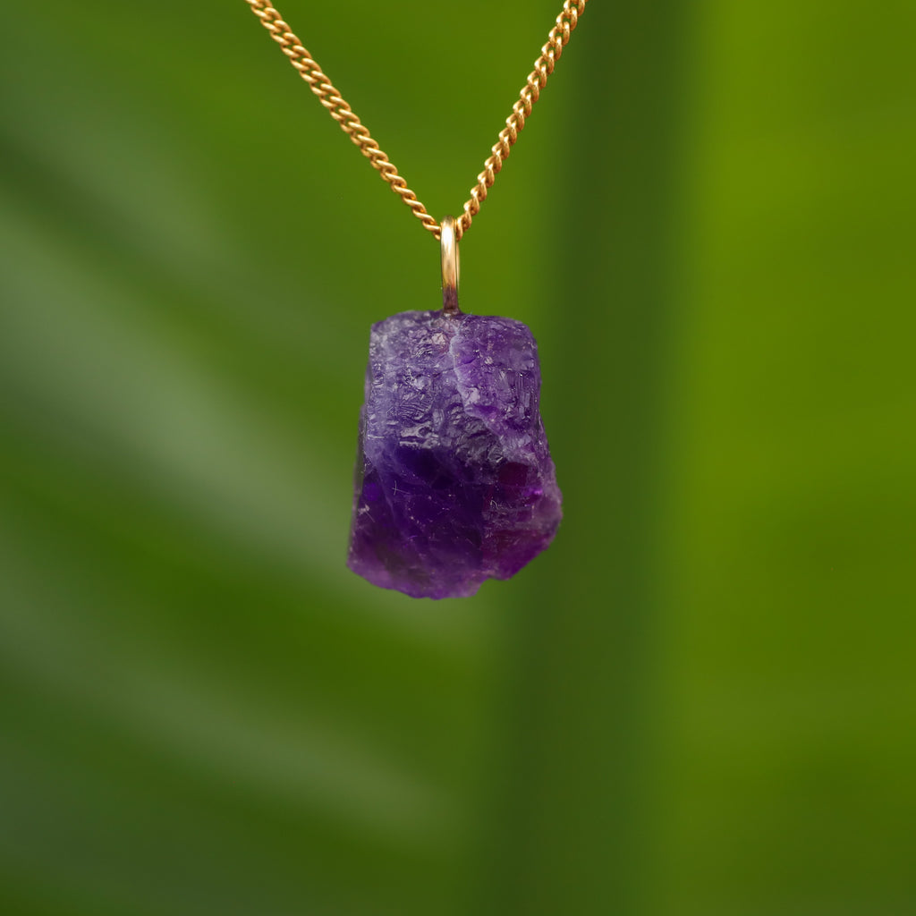 Ruwe Hackmaniet - Afghanistan