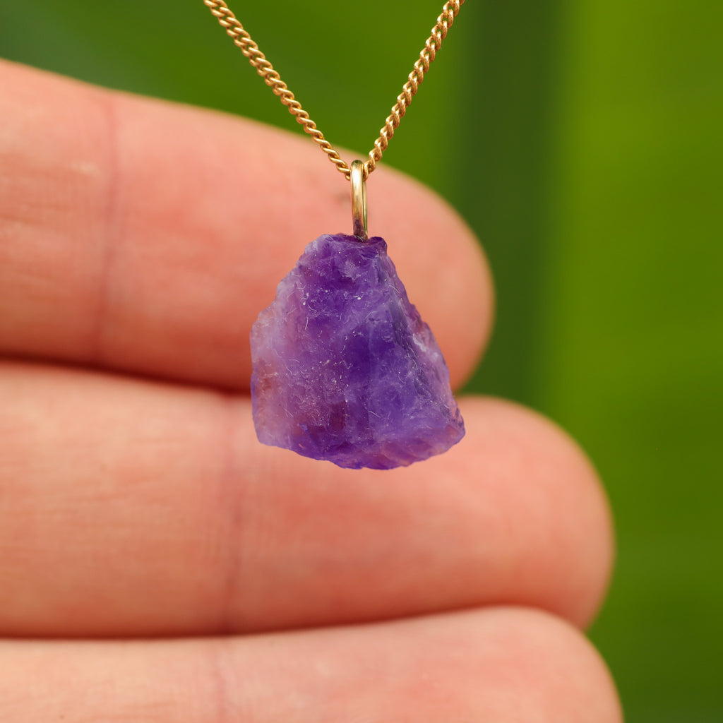 Ruwe Hackmaniet - Afghanistan