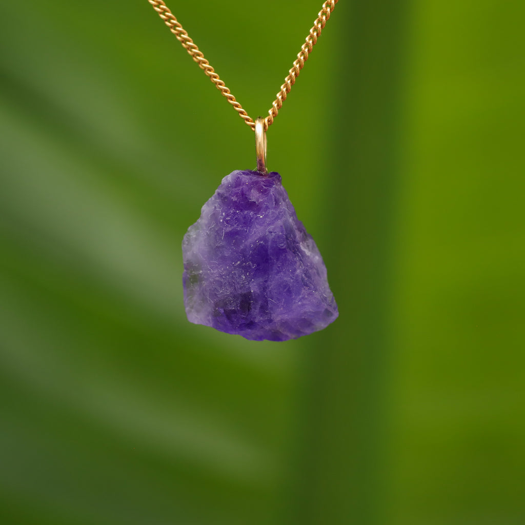 Ruwe Hackmaniet - Afghanistan