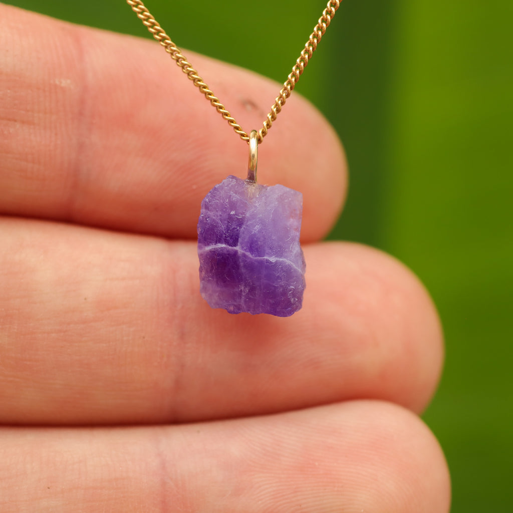 Ruwe Hackmaniet - Afghanistan