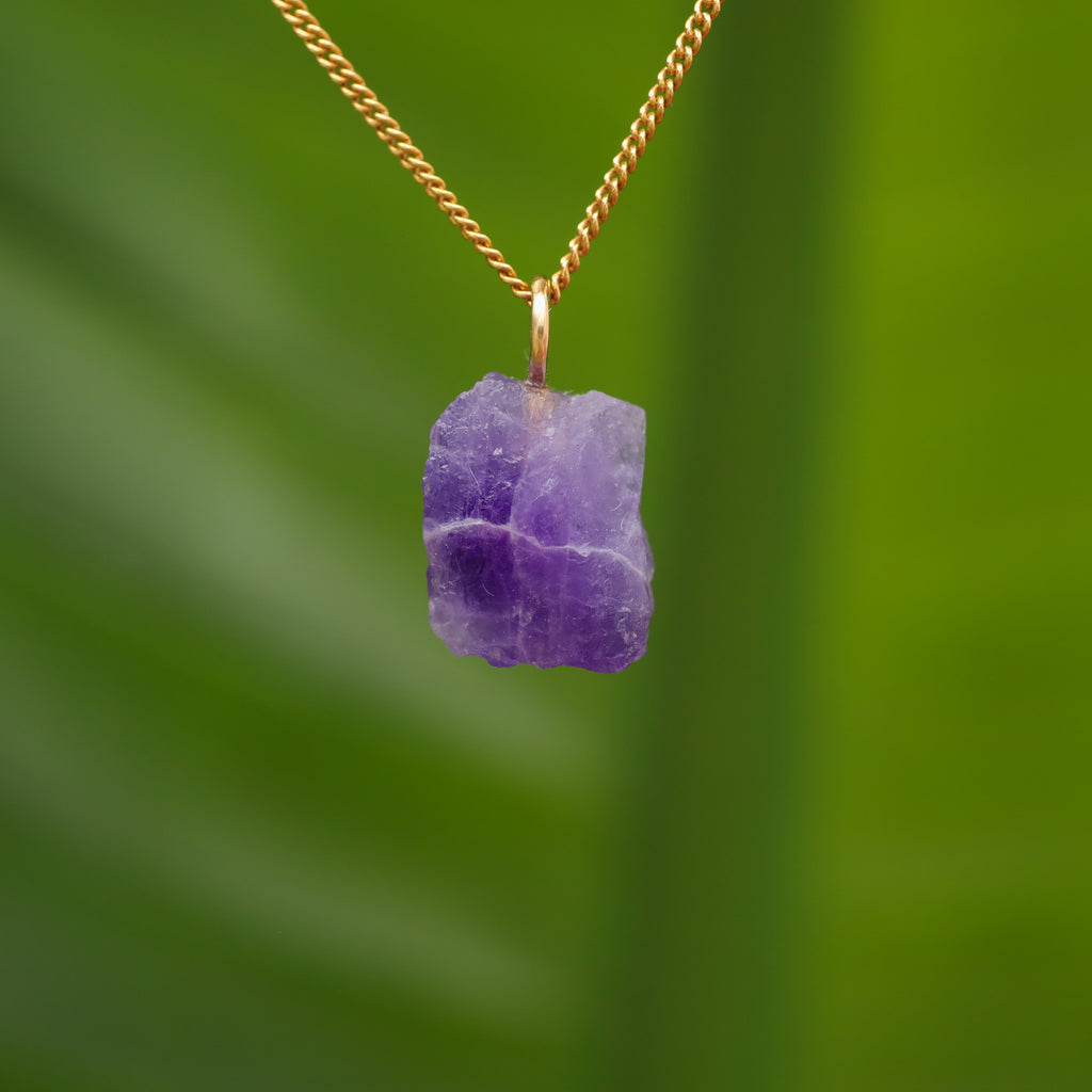 Ruwe Hackmaniet - Afghanistan