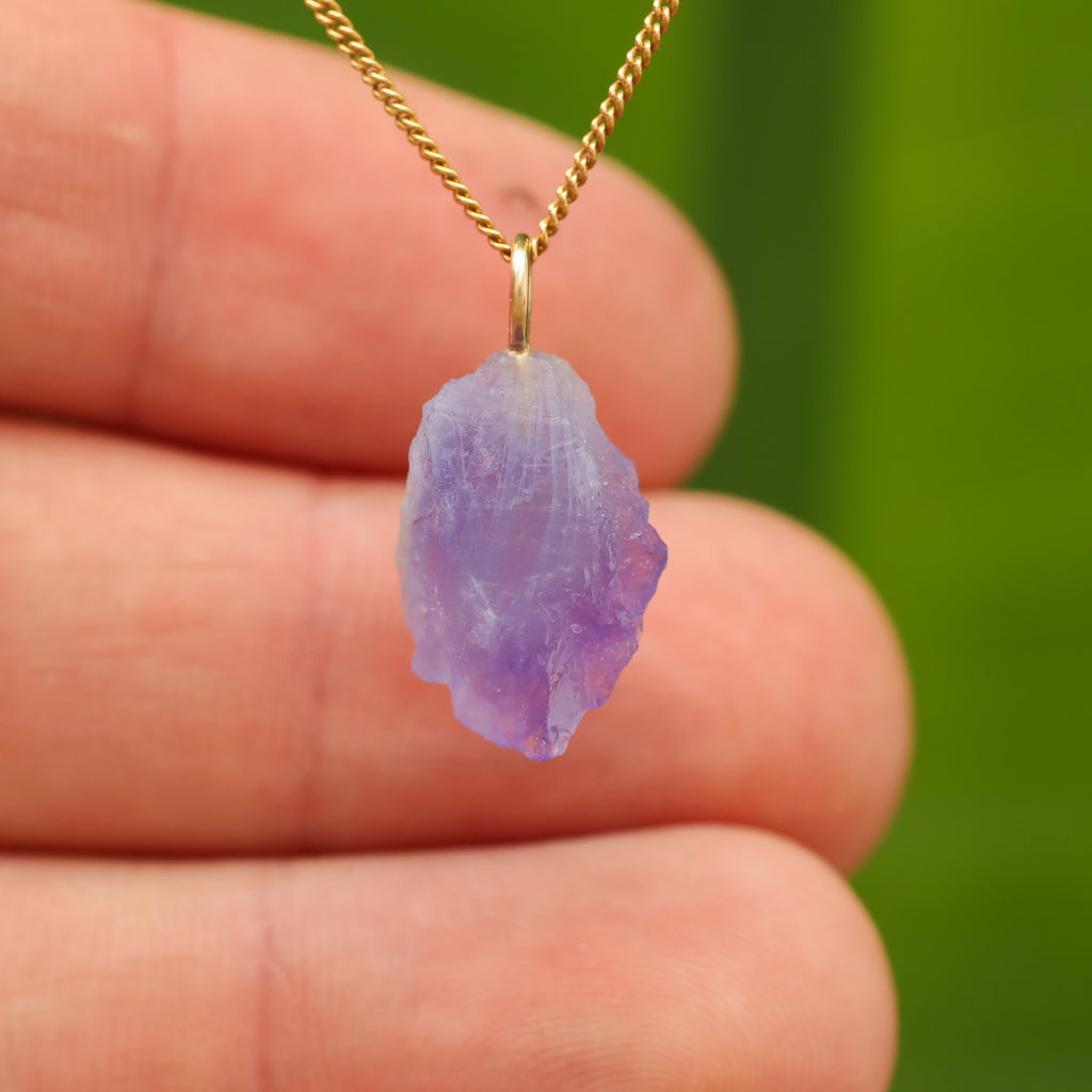 Ruwe Hackmaniet - Afghanistan