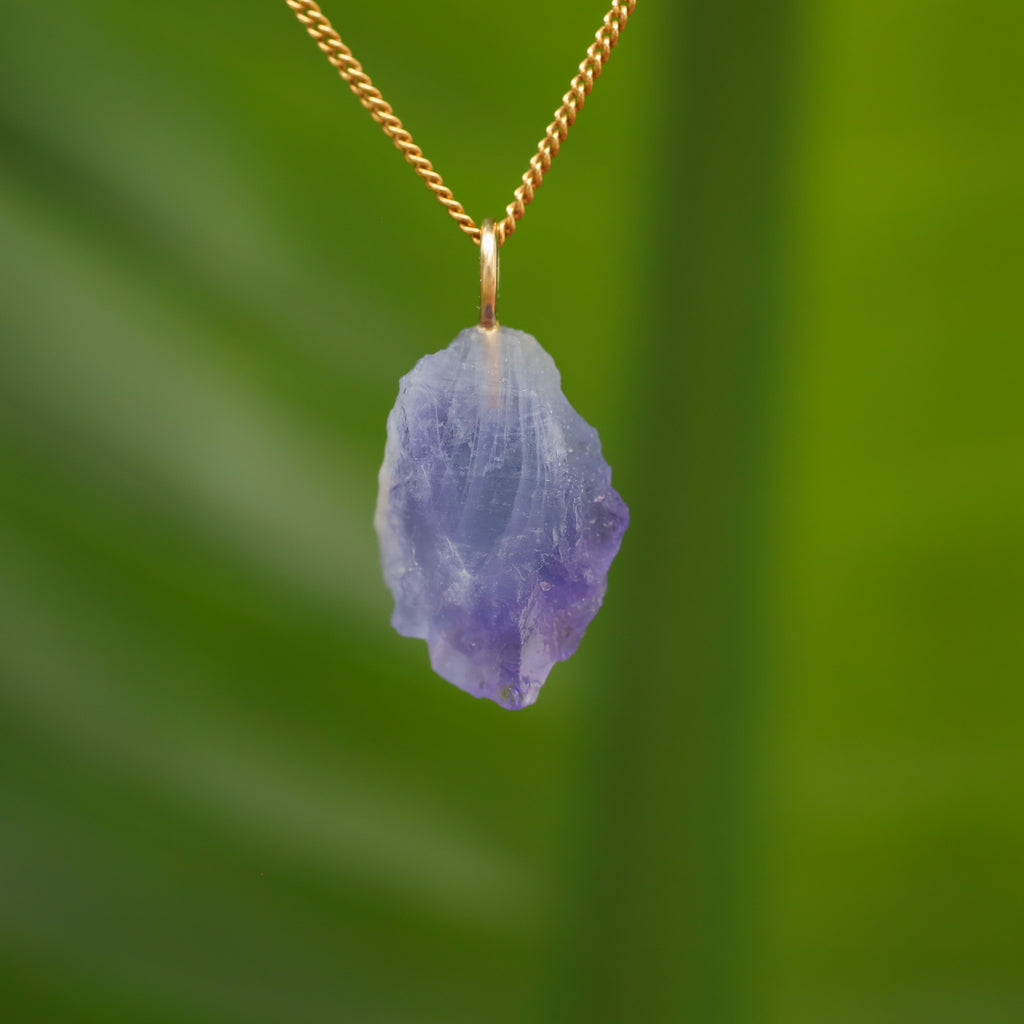 Ruwe Hackmaniet - Afghanistan