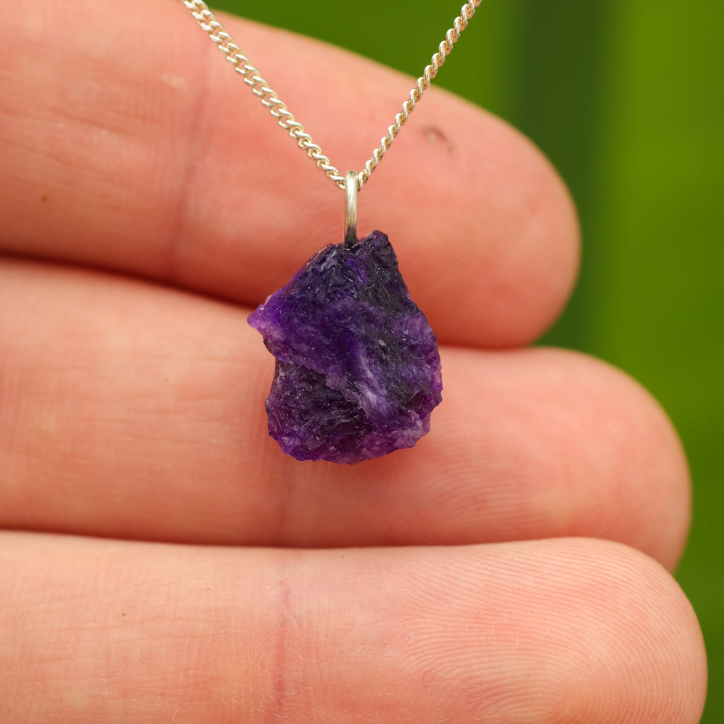 Ruwe Hackmaniet - Afghanistan