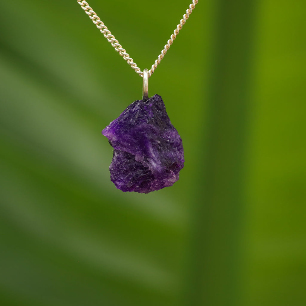 Ruwe Hackmaniet - Afghanistan