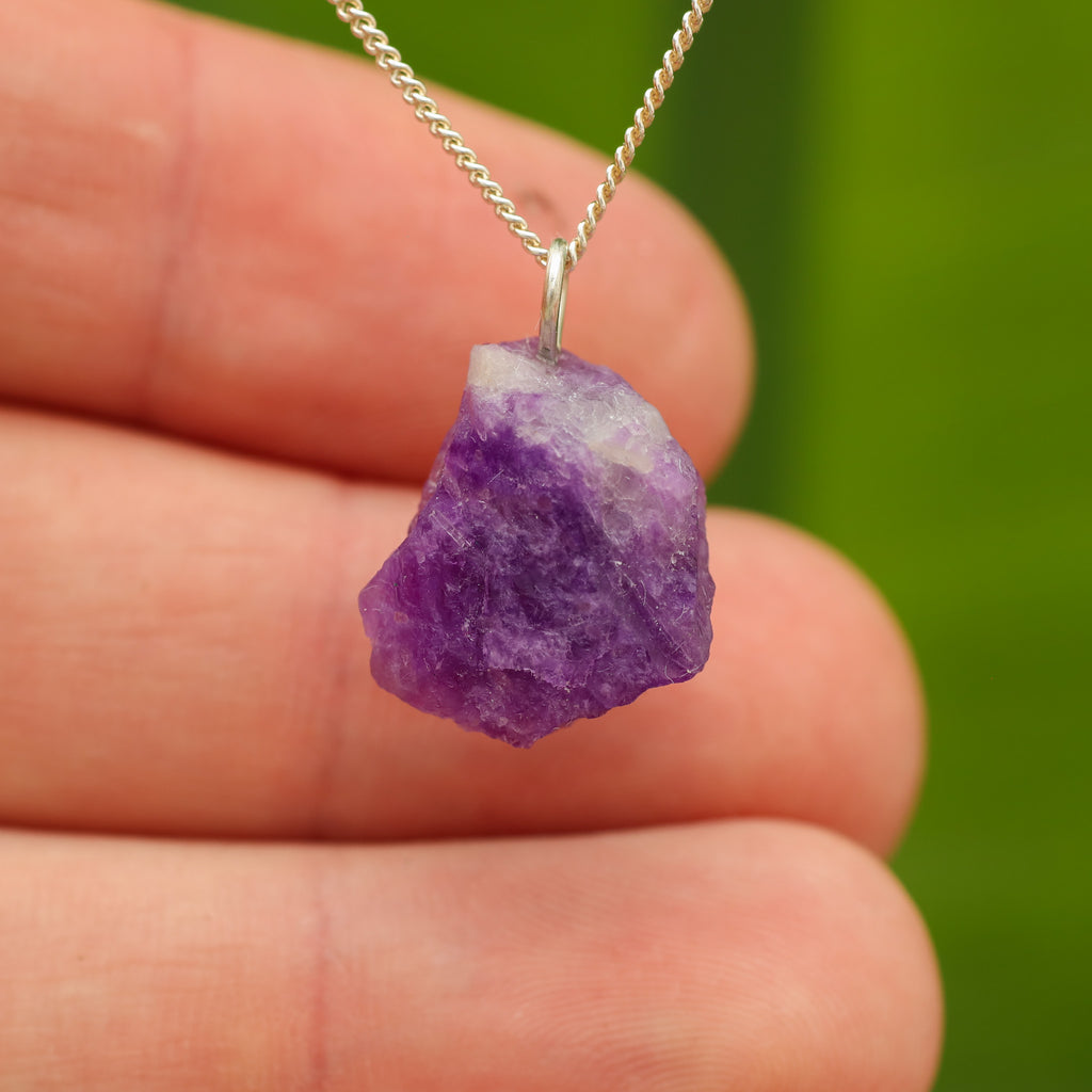 Ruwe Hackmaniet - Afghanistan