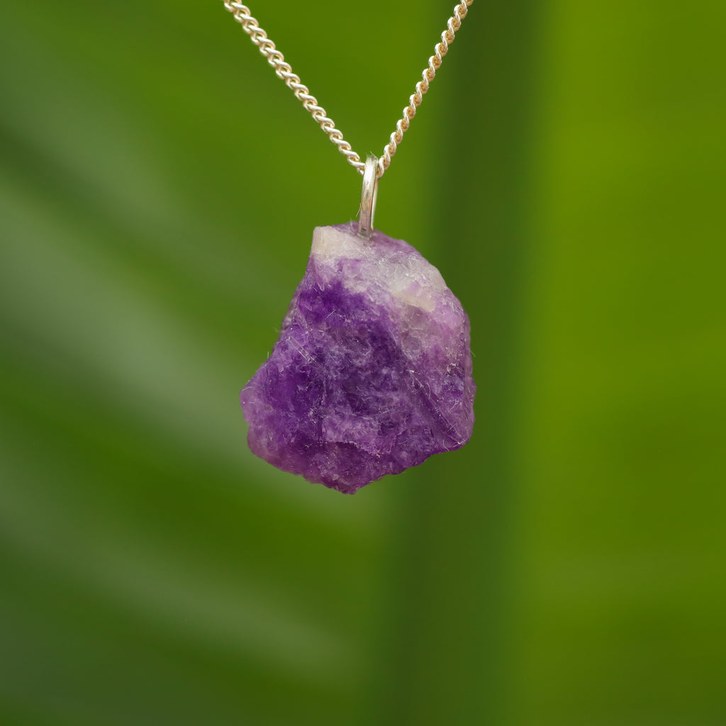 Ruwe Hackmaniet - Afghanistan