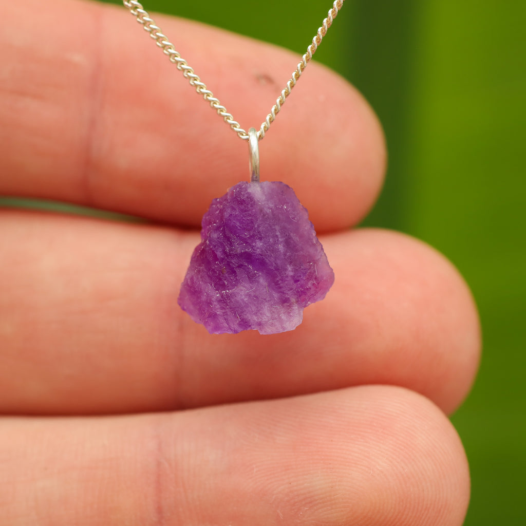 Ruwe Hackmaniet - Afghanistan