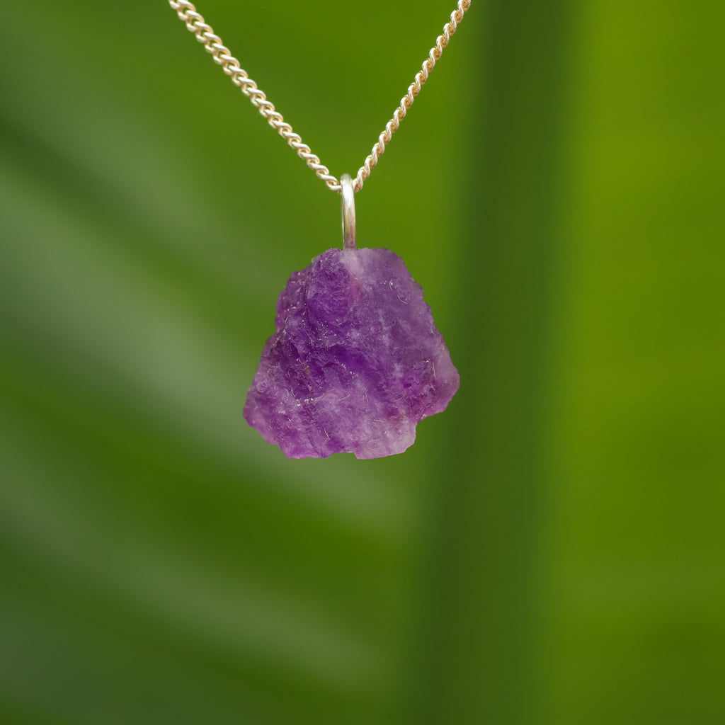 Ruwe Hackmaniet - Afghanistan