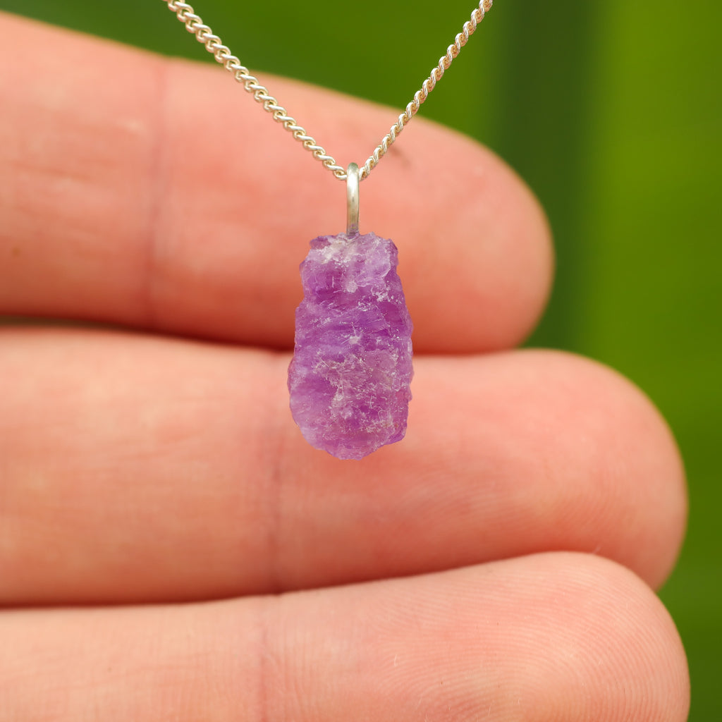 Ruwe Hackmaniet - Afghanistan