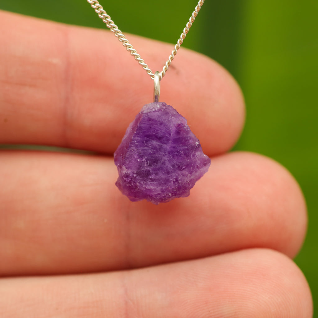 Ruwe Hackmaniet - Afghanistan