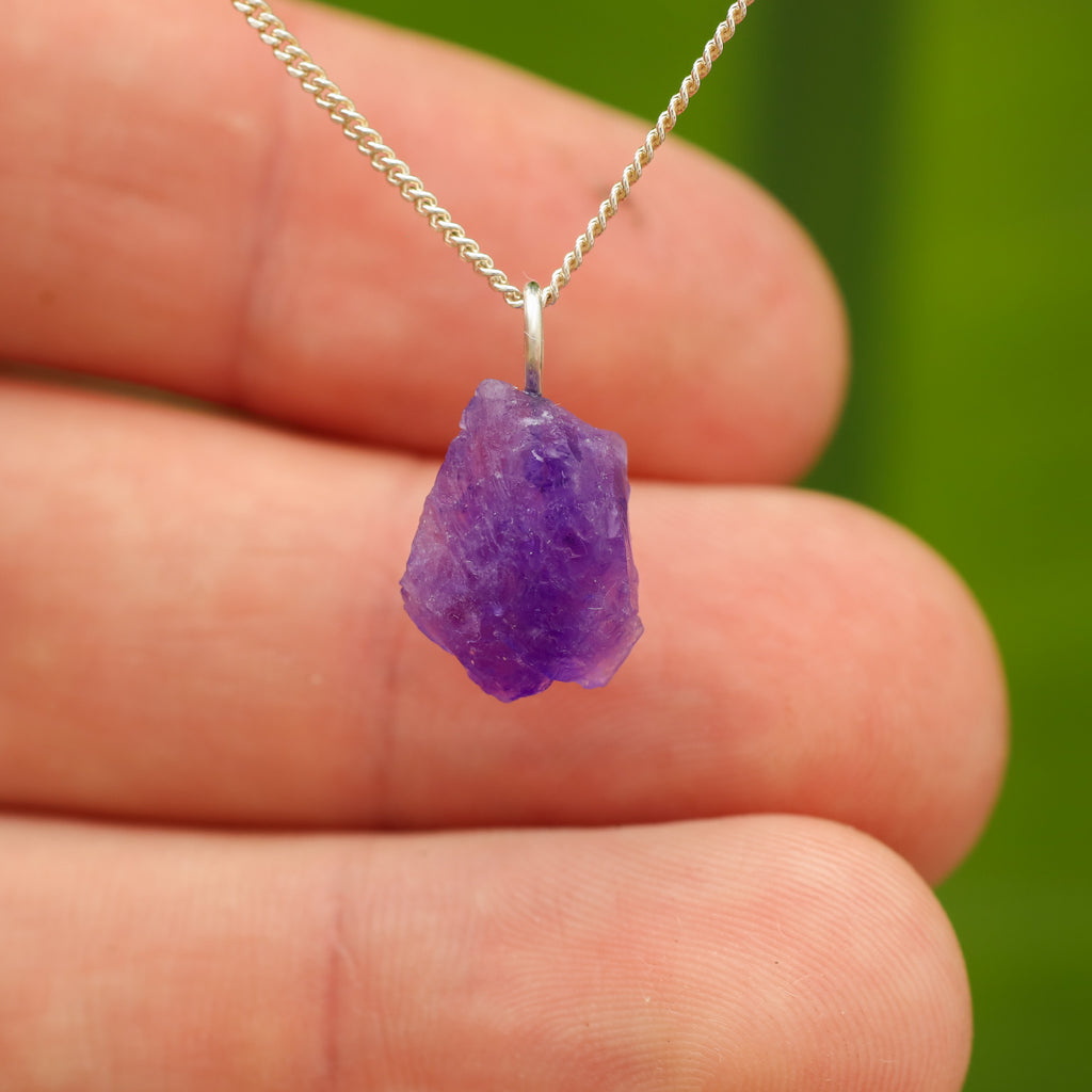 Ruwe Hackmaniet - Afghanistan