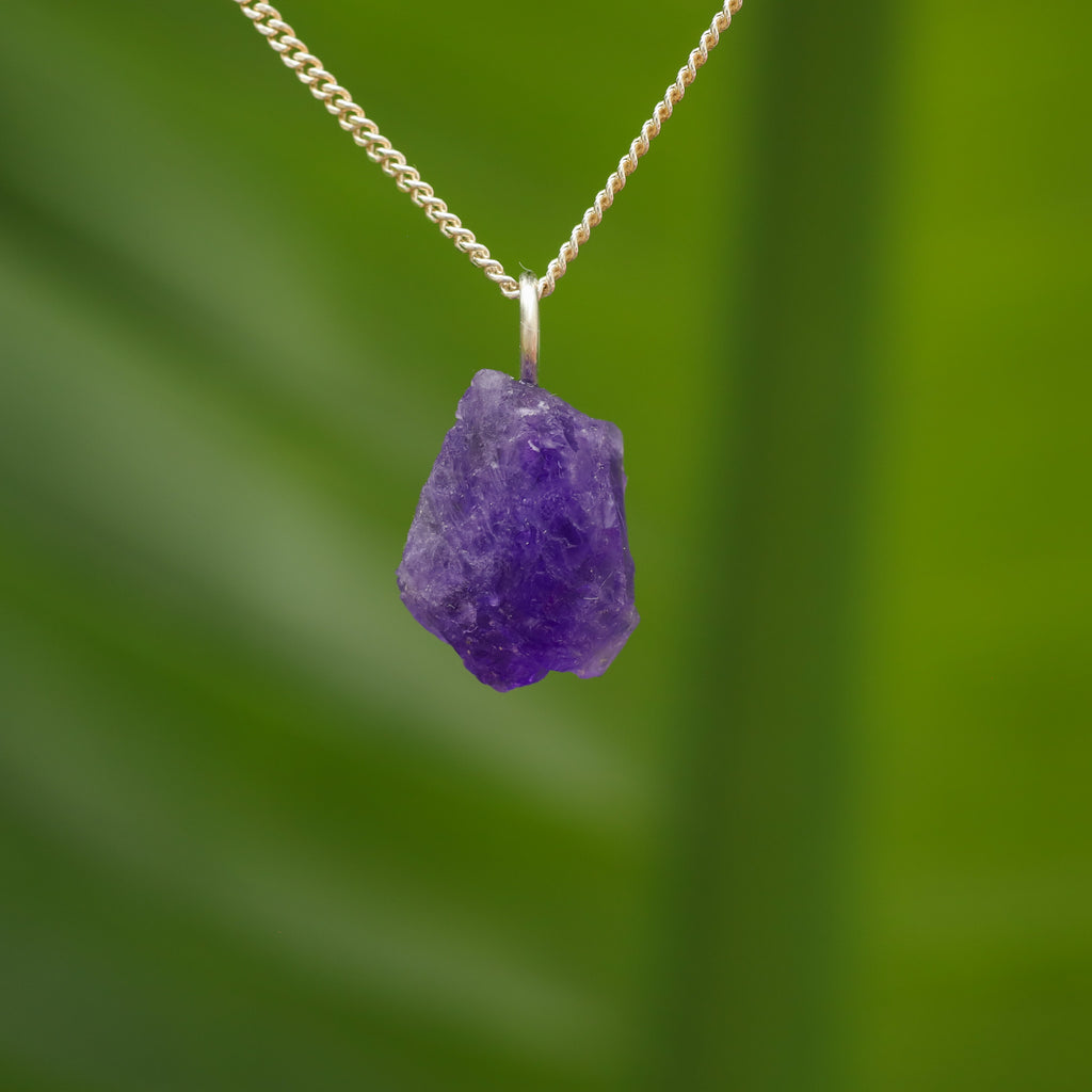 Ruwe Hackmaniet - Afghanistan