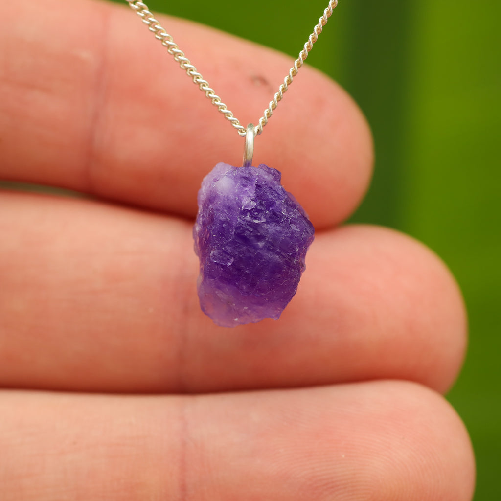 Ruwe Hackmaniet - Afghanistan