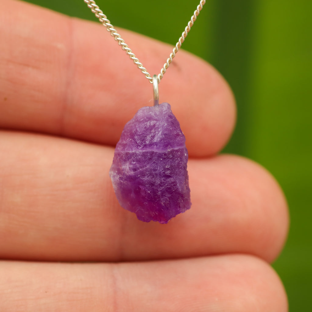 Ruwe Hackmaniet - Afghanistan