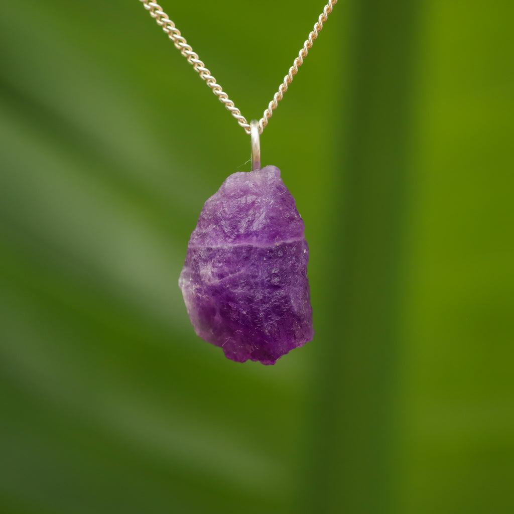 Ruwe Hackmaniet - Afghanistan