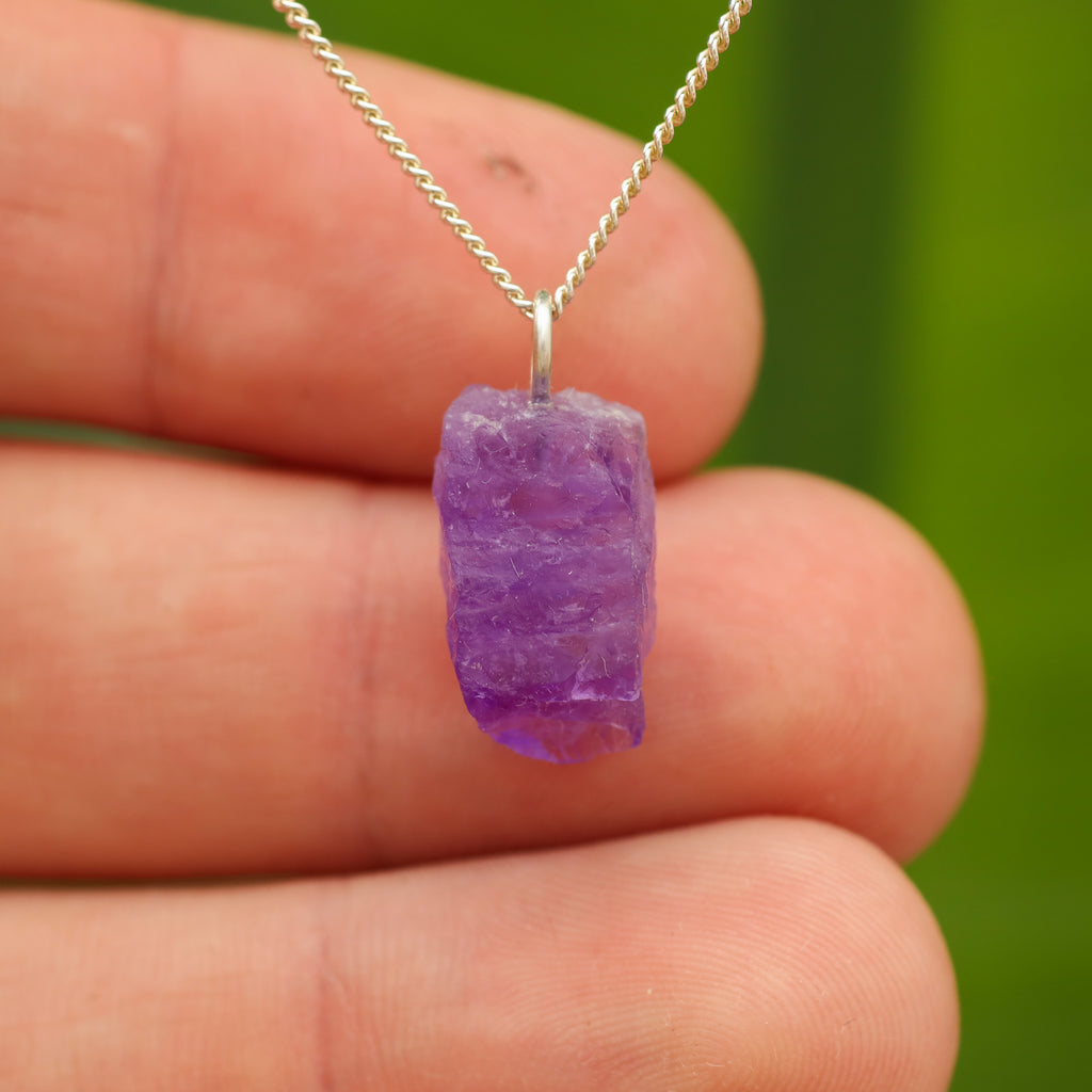 Ruwe Hackmaniet - Afghanistan