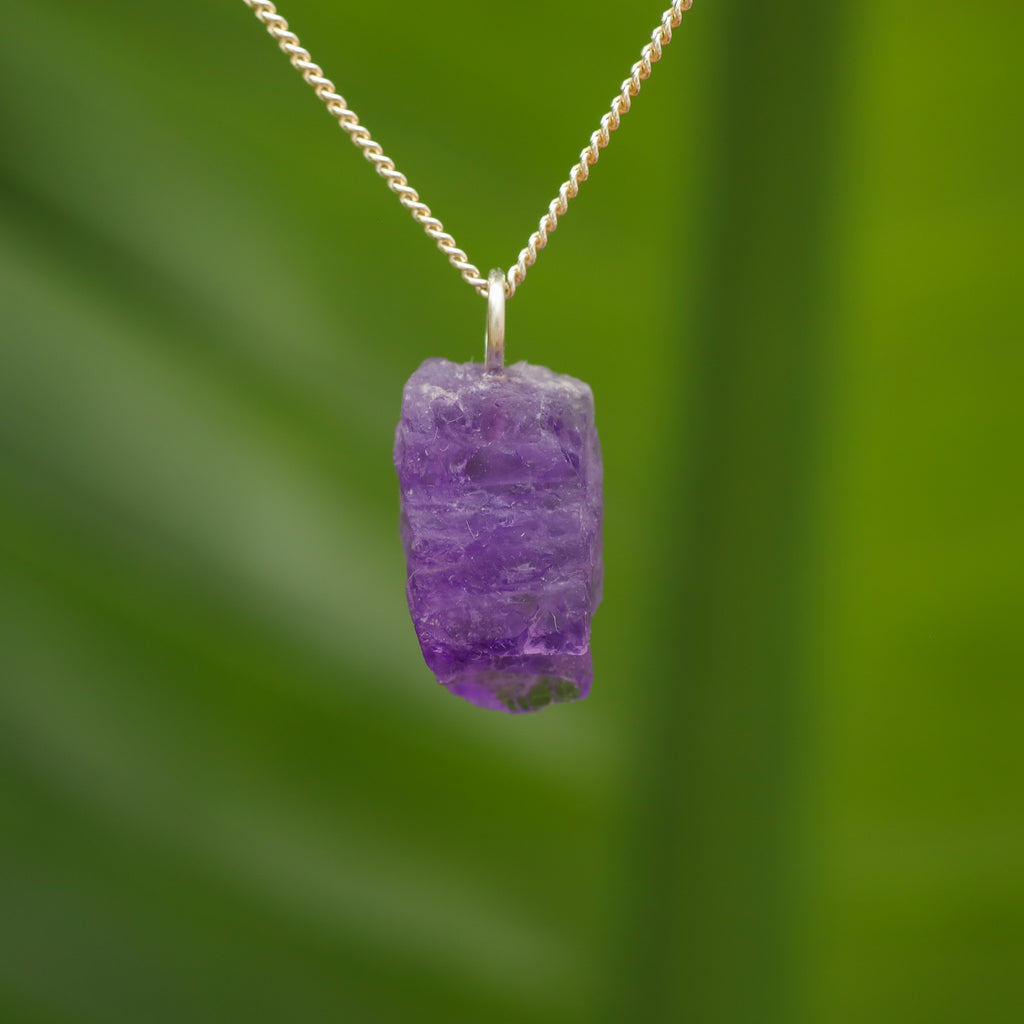 Ruwe Hackmaniet - Afghanistan