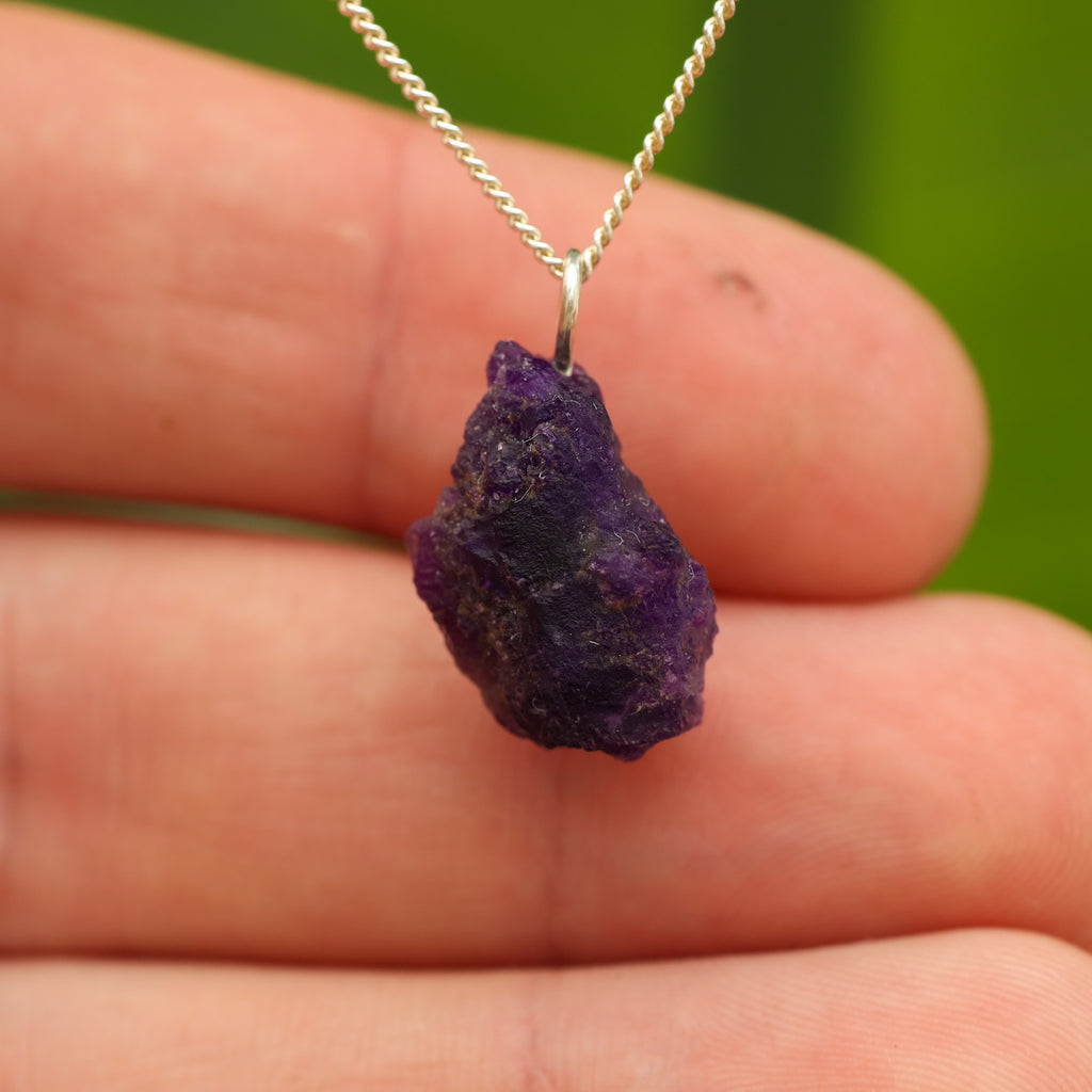 Ruwe Hackmaniet - Afghanistan